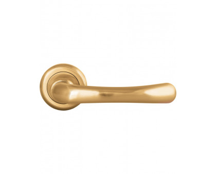 Дверная ручка Palladium Natali SG