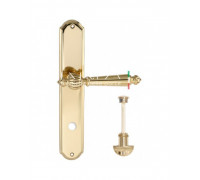 Дверная ручка Extreza "DANIEL" (Даниел) 308 на планке PL01 WC полированное золото F01