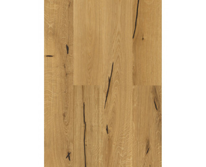 Напольная клеевая пробка Corkstyle PrintCork Wood XL Oak accent
