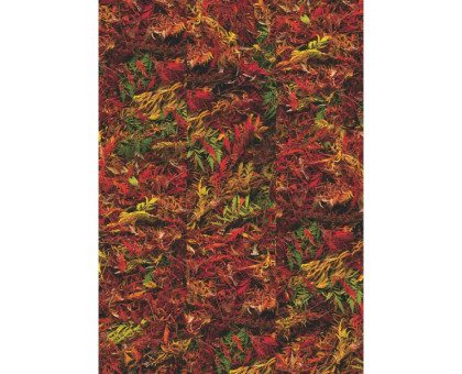 Напольная замковая пробка Corkstyle PrintCork Fantasy&Stone Autumn Brake